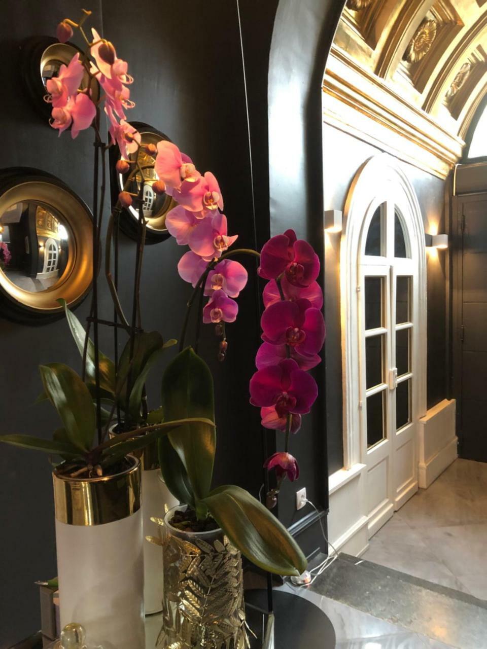 L'Hotel Particulier Arras Dış mekan fotoğraf